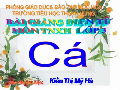 Bài 52. Cá