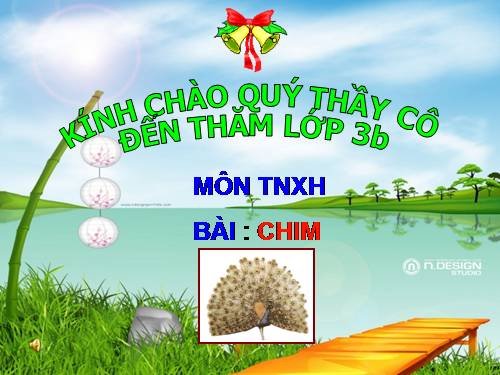 Bài 53. Chim