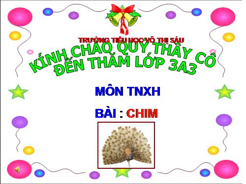 Bài 53. Chim