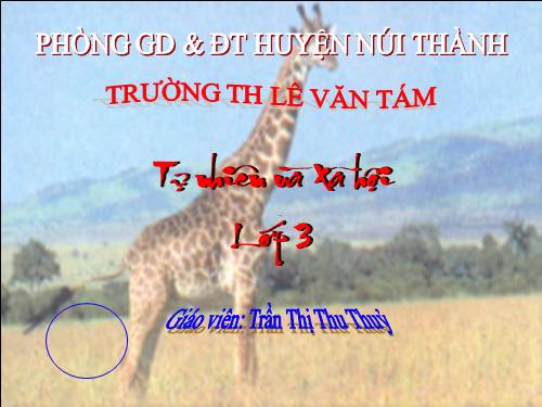 Bài 49. Động vật