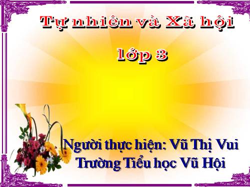 Bài 24. Một số hoạt động ở trường