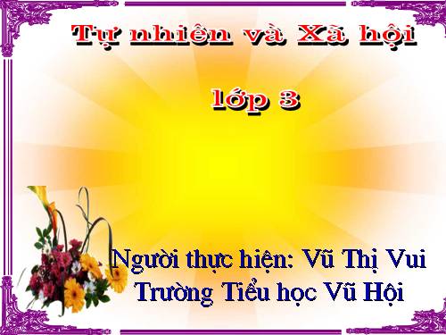 Bài 24. Một số hoạt động ở trường