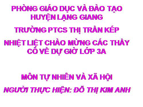 Bài 49. Động vật