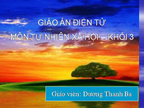 Bài 24. Một số hoạt động ở trường