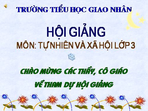 Bài 46. Khả năng kì diệu của lá cây