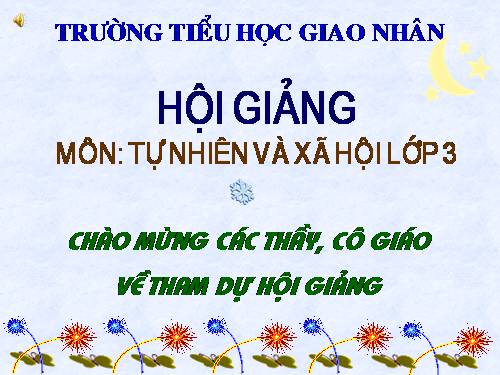 Bài 46. Khả năng kì diệu của lá cây