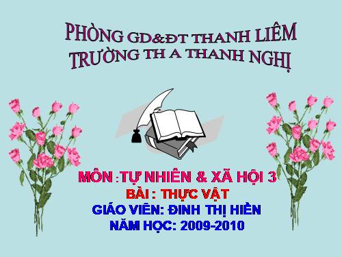 Bài 40. Thực vật