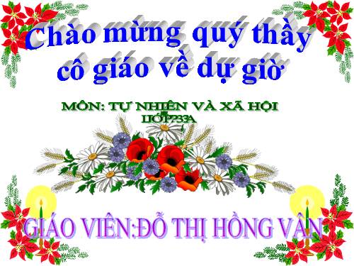 Bài 26. Không chơi các trò chơi nguy hiểm