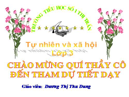 Bài 44. Rễ cây (tiếp theo)