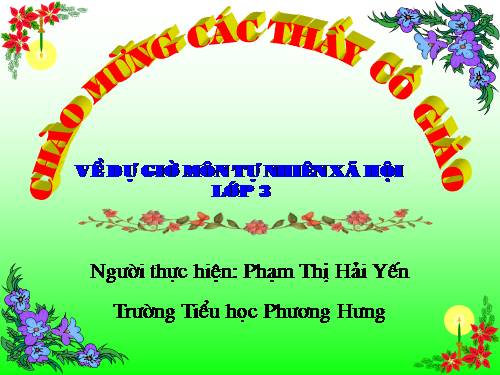 Bài 40. Thực vật