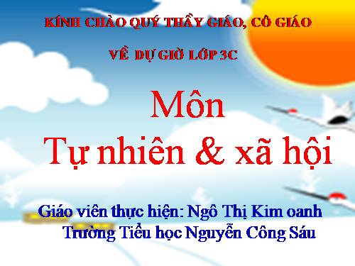 Bài 26. Không chơi các trò chơi nguy hiểm