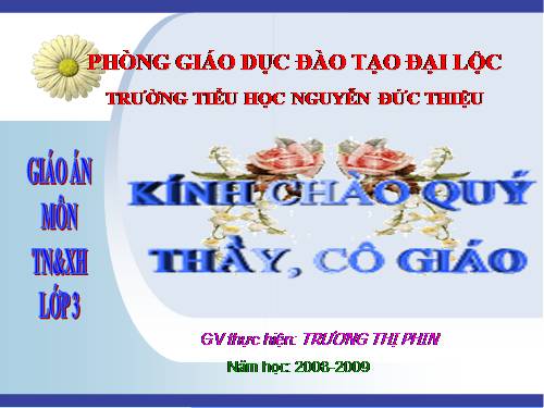 Bài 62. Mặt Trăng là vệ tinh của Trái Đất