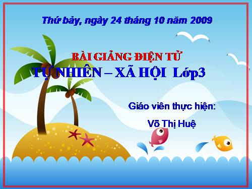 Bài 19. Các thế hệ trong một gia đình