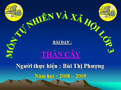 Bài 41. Thân cây