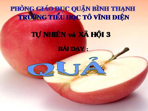 Bài 48. Quả