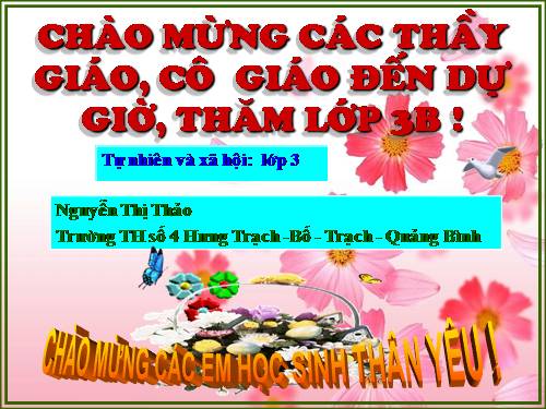 Bài 43. Rễ cây