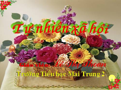 Bài 27-28. Tỉnh (thành phố) nơi bạn đang sống