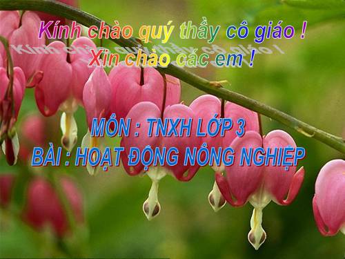 Bài 30. Hoạt động nông nghiệp