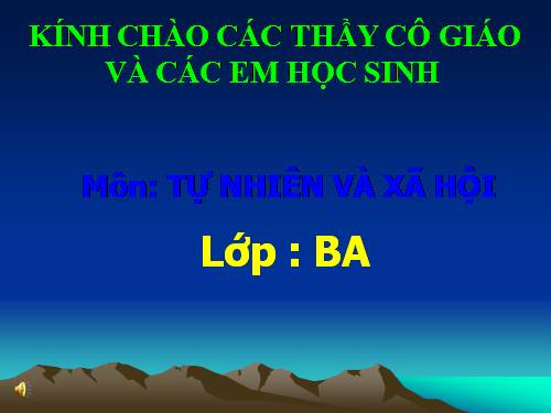 Bài 54. Thú