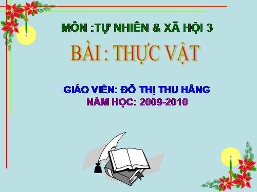 Bài 40. Thực vật