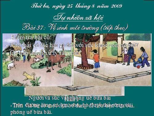 Bài 37. Vệ sinh môi trường (tiếp theo)