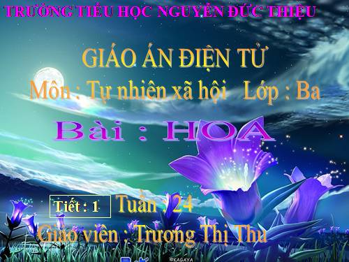 Bài 47. Hoa