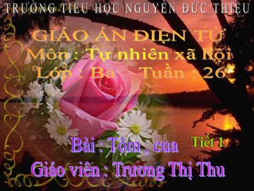Bài 51. Tôm, cua