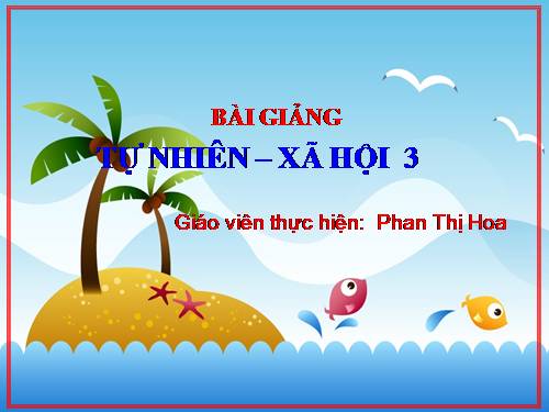 Bài 19. Các thế hệ trong một gia đình