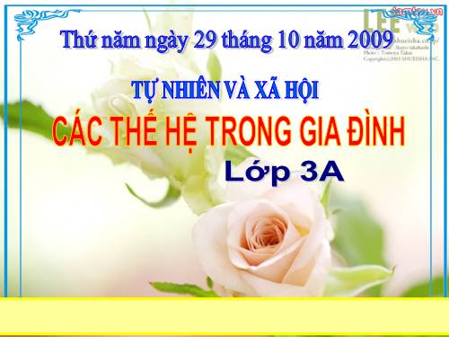 Bài 19. Các thế hệ trong một gia đình