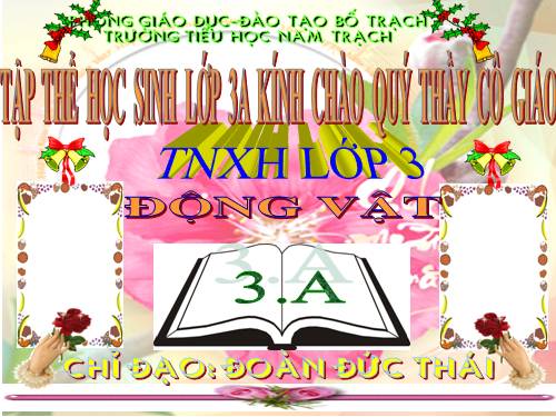 Bài 49. Động vật