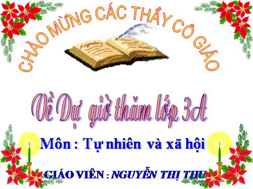 Bài 26. Không chơi các trò chơi nguy hiểm