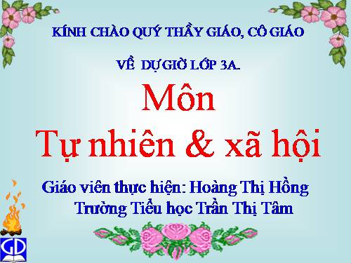 Bài 26. Không chơi các trò chơi nguy hiểm