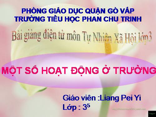 Bài 24. Một số hoạt động ở trường