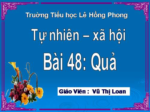 Bài 48. Quả