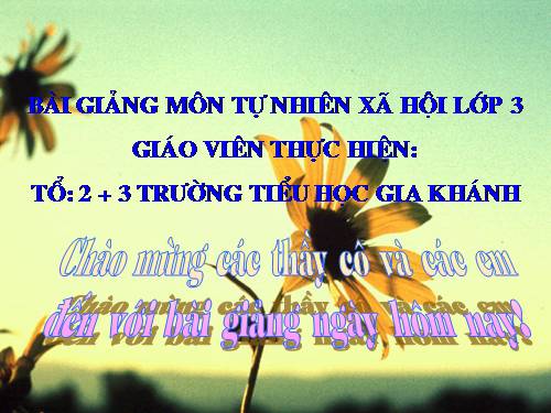 Bài 19. Các thế hệ trong một gia đình