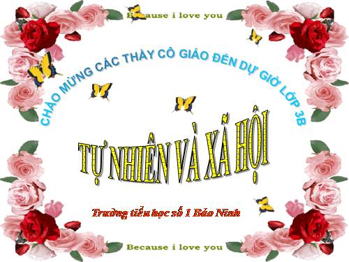 Bài 19. Các thế hệ trong một gia đình