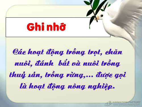 Bài 30. Hoạt động nông nghiệp