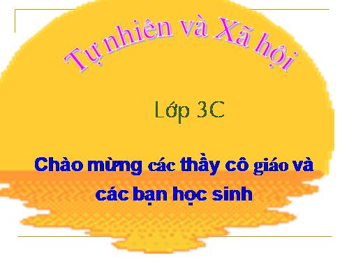 Bài 33. An toàn khi đi xe đạp