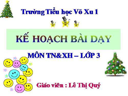 Bài 24. Một số hoạt động ở trường