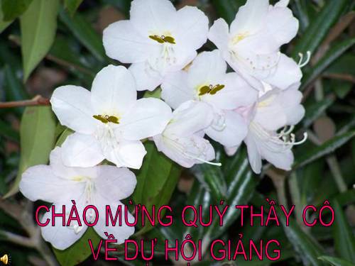 Bài 23. Phòng cháy khi ở nhà