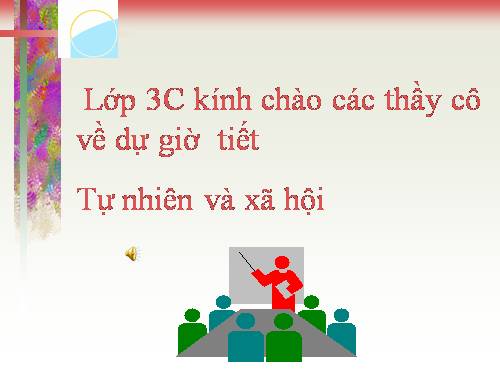 Bài 12. Cơ quan thần kinh