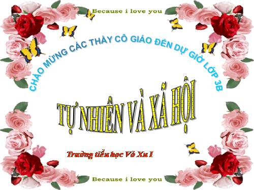 Bài 19. Các thế hệ trong một gia đình