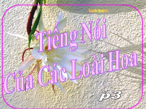 hoa biết nói nè!!