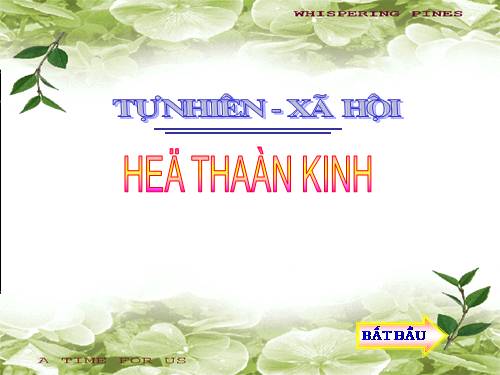 Bài 12. Cơ quan thần kinh