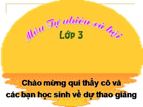 Bài 33. An toàn khi đi xe đạp