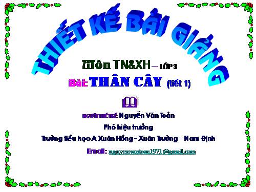 Bài 41. Thân cây