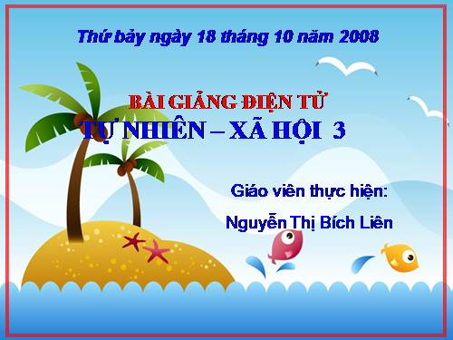 Bài 19. Các thế hệ trong một gia đình