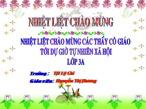 Bài 10. Hoạt động bài tiết nước tiểu