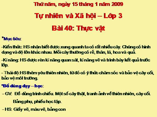 Bài 40. Thực vật