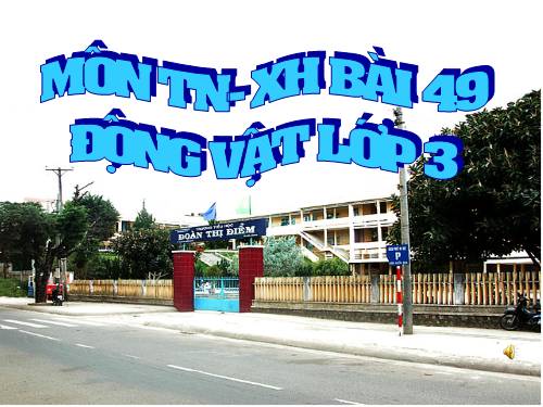 Bài 49. Động vật